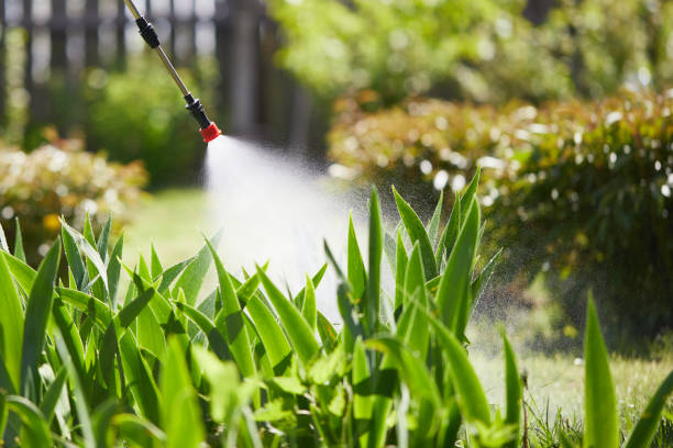 24/7 Emergency Fumigation Services experts in Jenks, OK